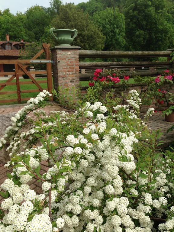B&B Il Quadrifoglio Sciolze Екстериор снимка