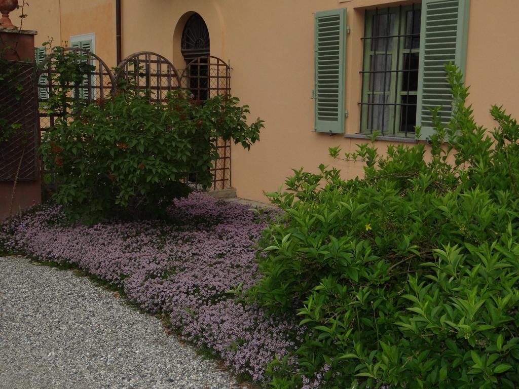 B&B Il Quadrifoglio Sciolze Екстериор снимка
